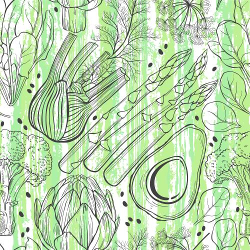 Broccoli. Vector avocado, artichoke, spinach, broccoli, fennel, asparagus, textured green stripes on white
