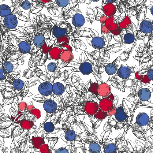Berry. Vector blueberry and cranberry branches on white