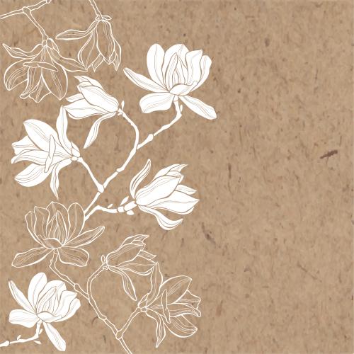 Magnolia. Vector magnolia, contours and silhouettes, space for text on craft