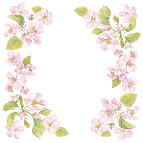 Raster image watercolor flowers and apple tree leaves space for text on white