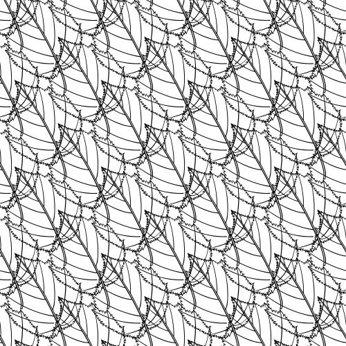 Black-white. Vector leaves, black contours on white, diagonal composition