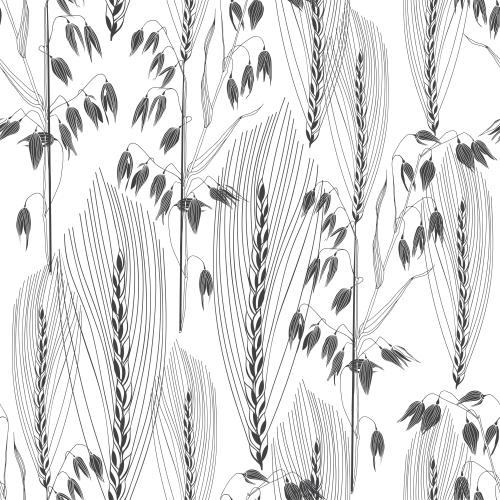 Vector image ears of oats and wheat on white