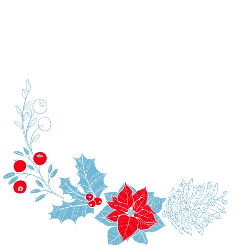 Cone. Vector poinsettia echinacea cone cranberry white text area corner composition