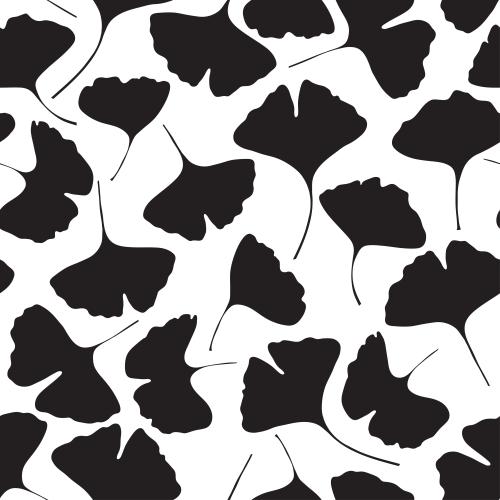 Ginkgo biloba. Vector ginkgo biloba, black silhouettes of leaves on white
