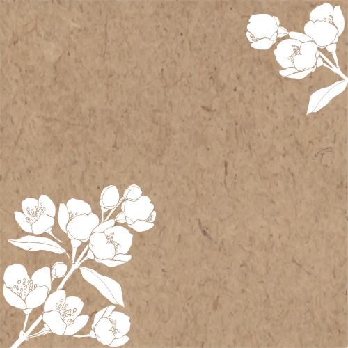 Jasmine. Vector blooming jasmine branches, space for text on craft, corner arrangement