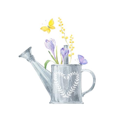 Raster image watercolor crocus flowers, mimosa branch in a pot with a heart, butterflies on white
