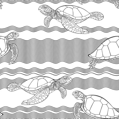Turtle. Vector turtles and waves on white