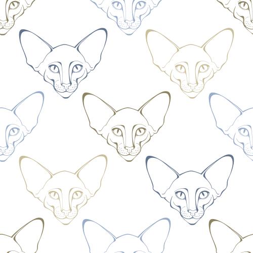 Oriental cat. Vector oriental cat, multicolored face contours on white