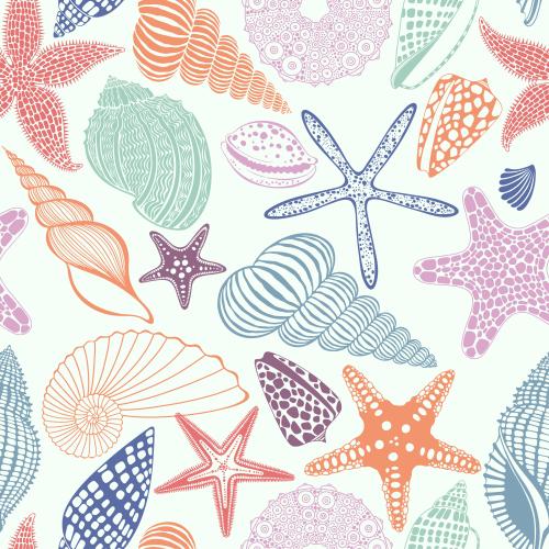 Nautilus. Vector sea stars shells sea urchin nautilus multicolored silhouettes and outlines on a light
