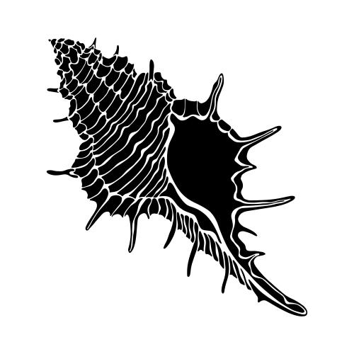 Illustration shell, black silhouette on white