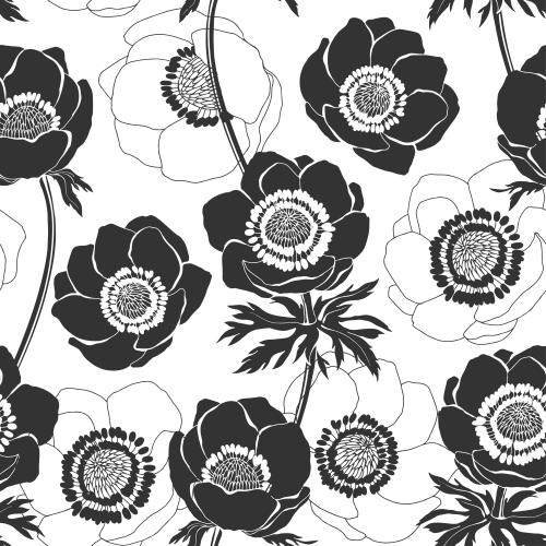 Anemone. Vector anemones, contours and silhouettes on white