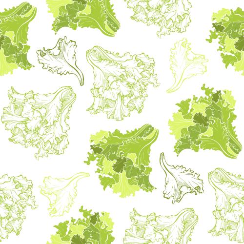 Salad. Vector salad, colorful silhouettes and contours of leaves on white