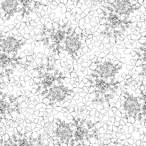 Guelder rose. Vector rowan flowers black outlines on white