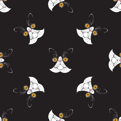 Exotic cat. Vector exotic cats cute faces on black