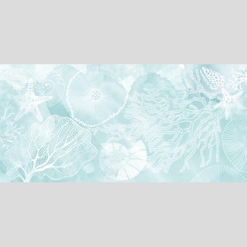 Illustration sea stars shells nautilus corals on blue watercolor