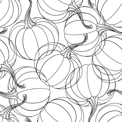Pumpkin. Vector pumpkin contours on white