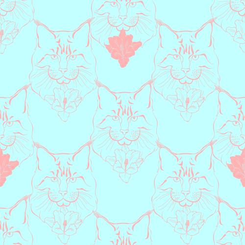 Maine coon. Vector maine coon cat faces and flowers on blue