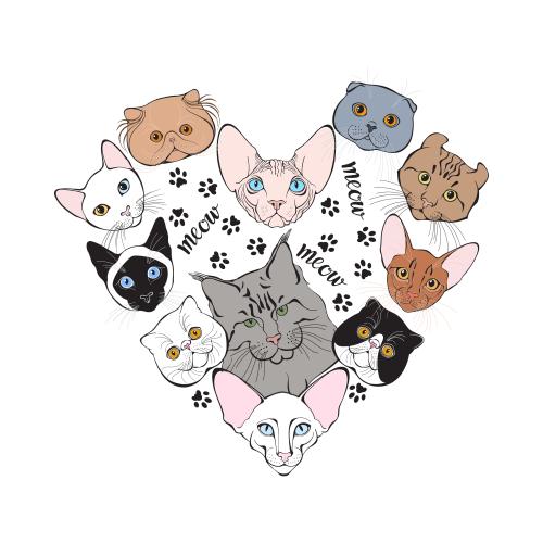 Vector image kitten faces of different breeds, paw prints, meow inscription, heart-shaped composition on white
