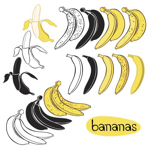Banana. Vector bananas contours black and colored silhouettes on white
