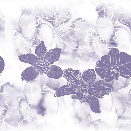 Vector image orchids, contours and silhouettes on watercolor