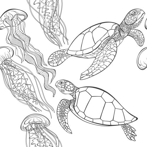 Turtle. Vector jellyfish and turtles on white