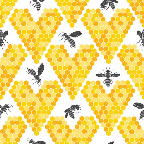 Vector image honeycombs hearts and bees on white