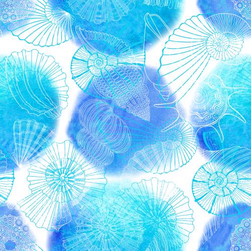 Illustration shells sea urchins nautiluses watercolor circles on white