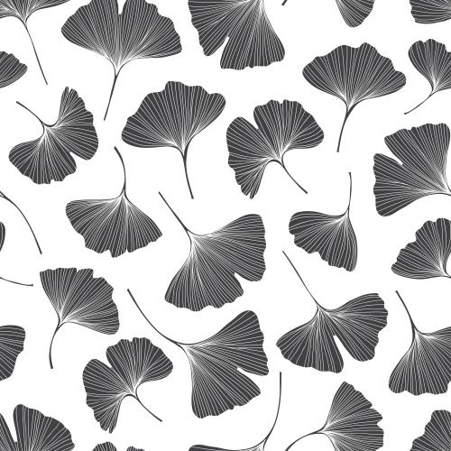 Illustration ginkgo biloba, silhouettes of leaves on white