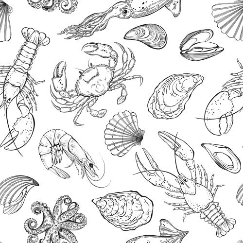 Scallop. Vector lobster