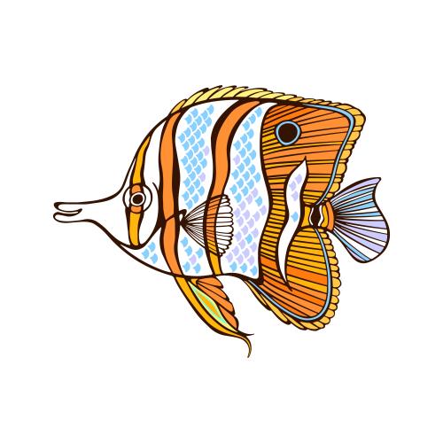 Vector image tropical butterflyfish on white