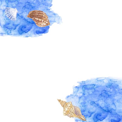Raster image shells on blue watercolor fragments, space for text on white, corner composition
