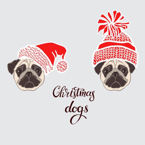 Pug. Vector poodles two cute faces in new year hats