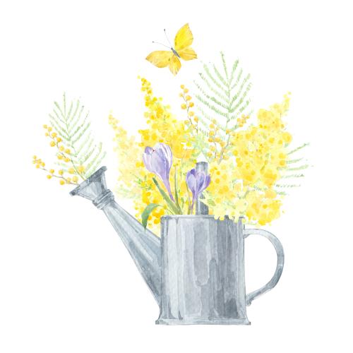Raster image watercolor bouquet in a watering can, mimosa and crocuses, butterfly on white