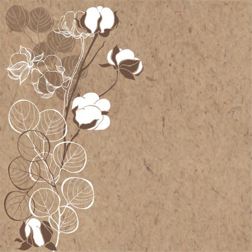 Eucalyptus. Vector eucalyptus branches and cotton, space for text on craft