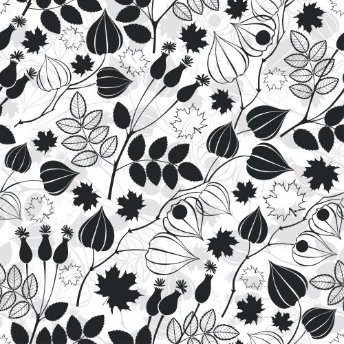 Maple leaf. Vector physalis, dog rose, maple leaves, gray and black silhouettes on white