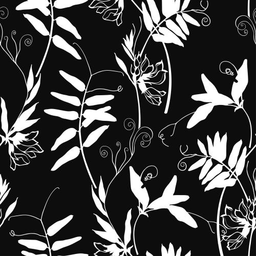 Vector image field flowers, white silhouettes on black