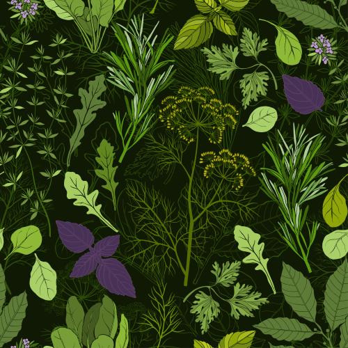 Vector image thyme, laurel, rosemary, dill, parsley, basil, arugula, spinach, colorful silhouettes on black