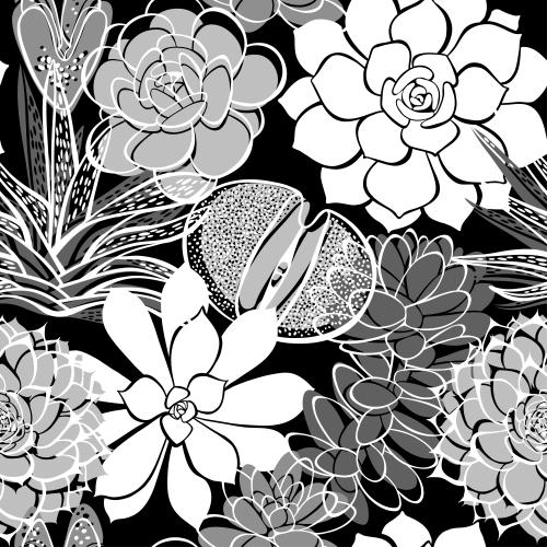 Succulent. Vector monochrome succulents on black