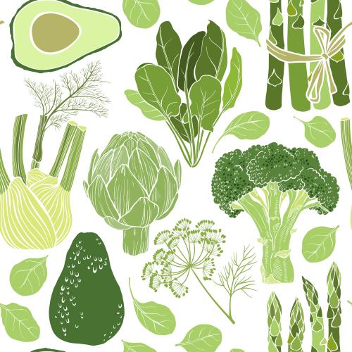 Broccoli. Vector avocado, artichoke, spinach, broccoli, fennel, asparagus, colorful silhouettes on white