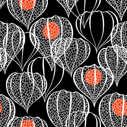 Vector image lace physalis boxes on black