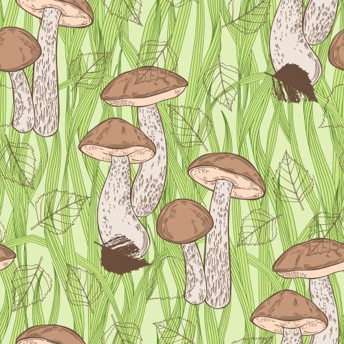 Vector image bore mushrooms birch leaves green grass