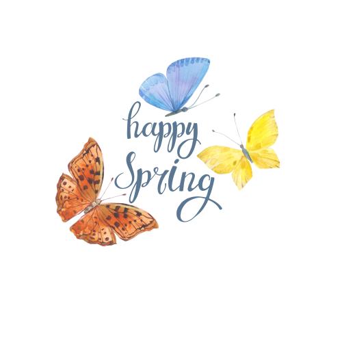 Raster image three watercolor butterflies inscription happy spring on white