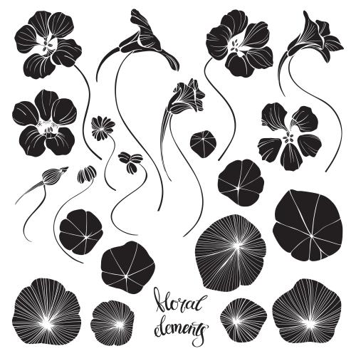 Bud. Vector nasturtium flowers buds fruits and leaves silhouettes on white