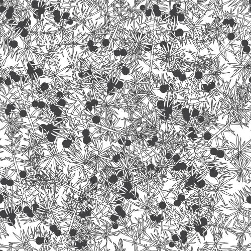 Berry. Vector Pattern juniper with berries on white