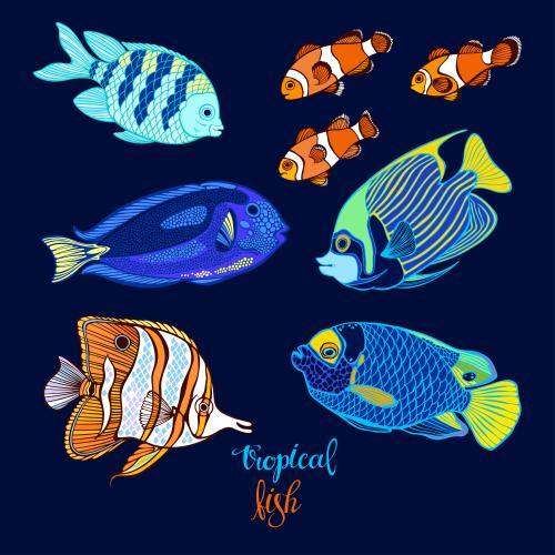 Vector image colorful exotic fish on blue