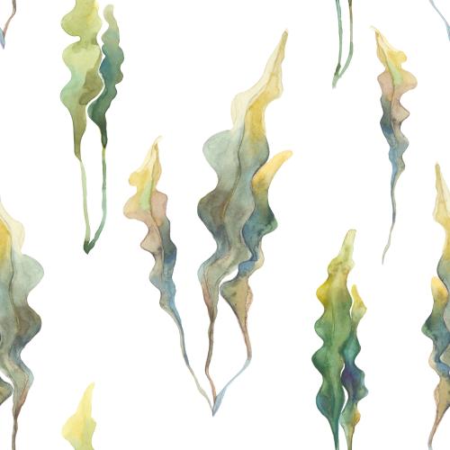 Raster image watercolor seaweed on white