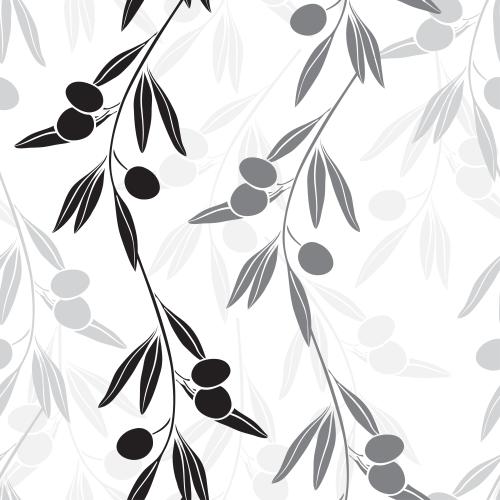 Olivaceous. Vector monochromatic olive branches with leaves and fruits on white