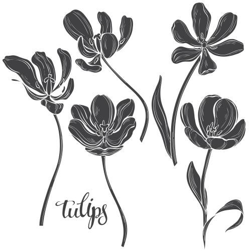 Tulip. Vector black tulip silhouettes on white