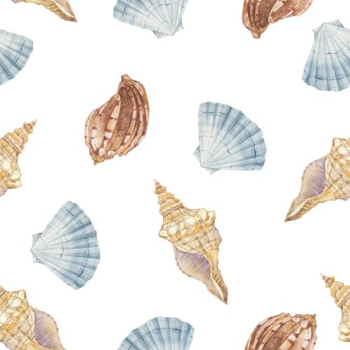 Raster image watercolor shells on white
