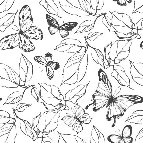 Butterfly. Vector butterflies, leaves on white